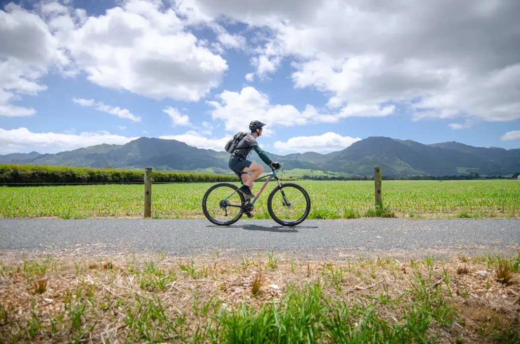 a person riding a bike on a road