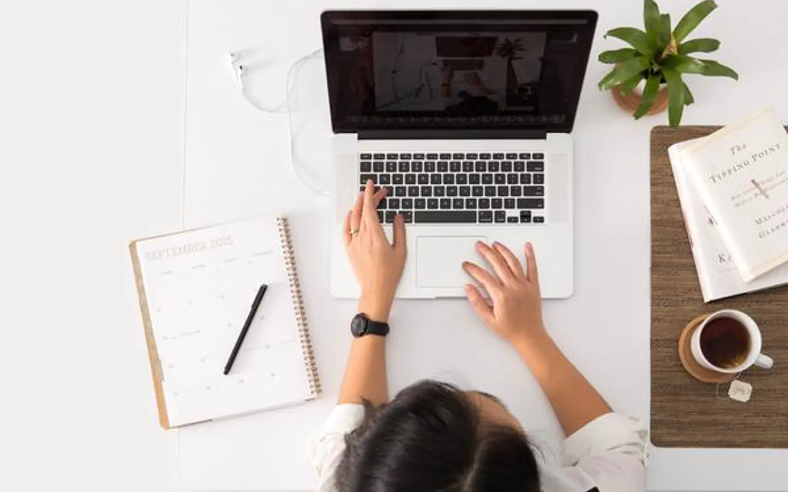 Enlighten can help your business with their digital transformation journey.