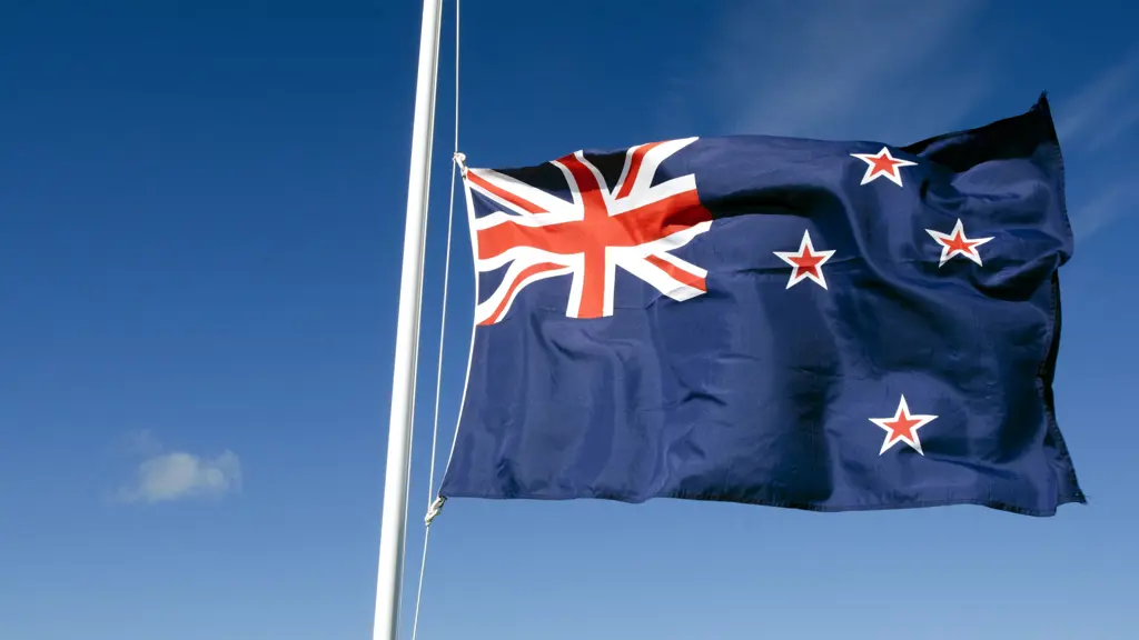 a flag on a pole
