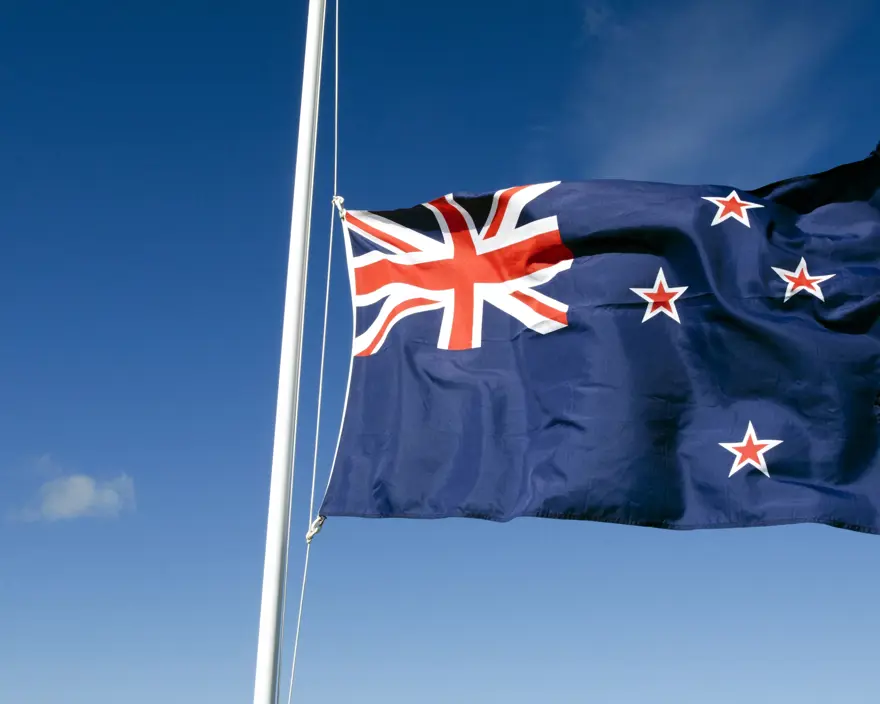 a flag on a pole