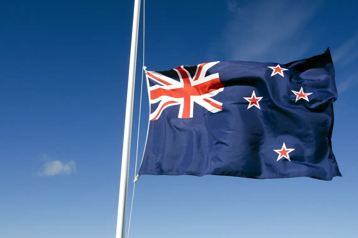 a flag on a pole