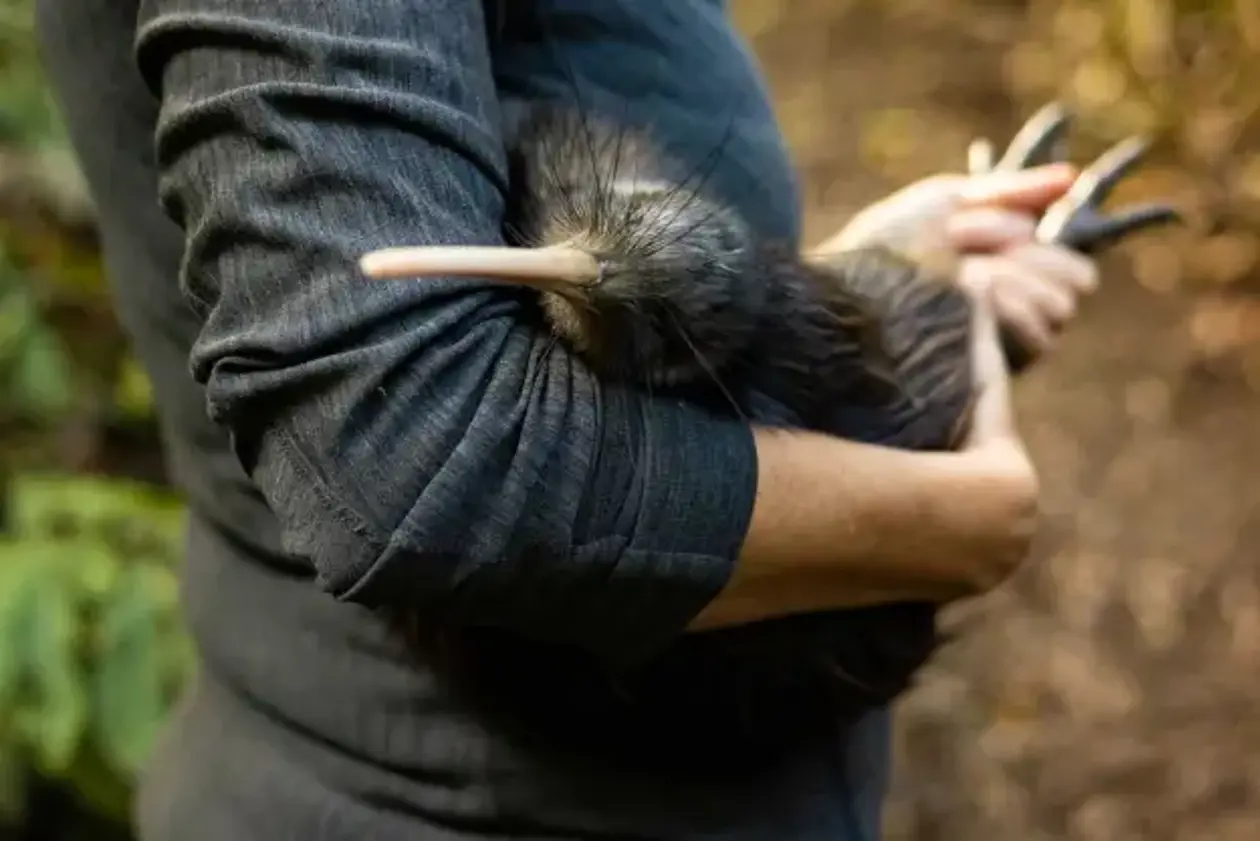 a person holding an animal