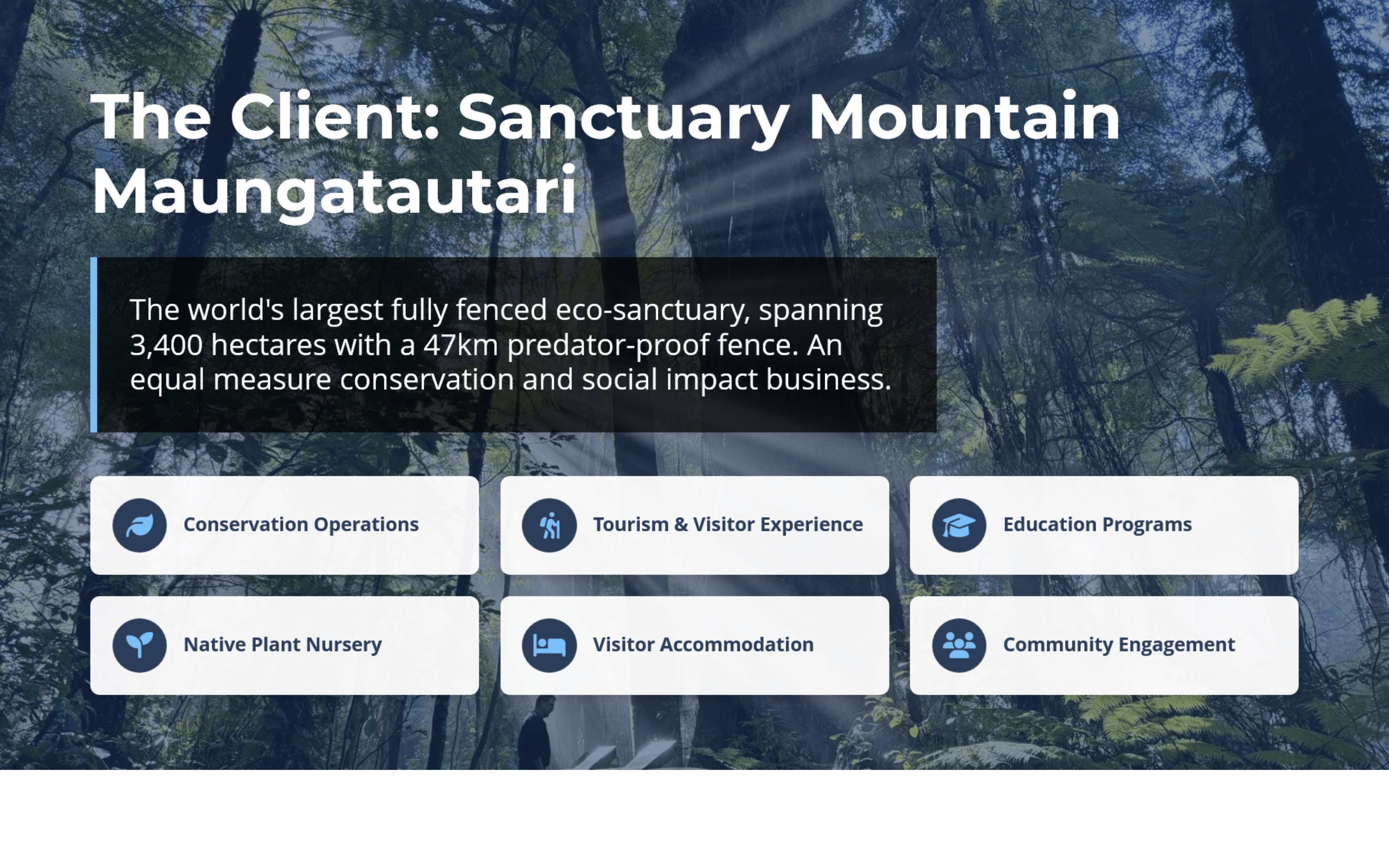 a screenshot of a website