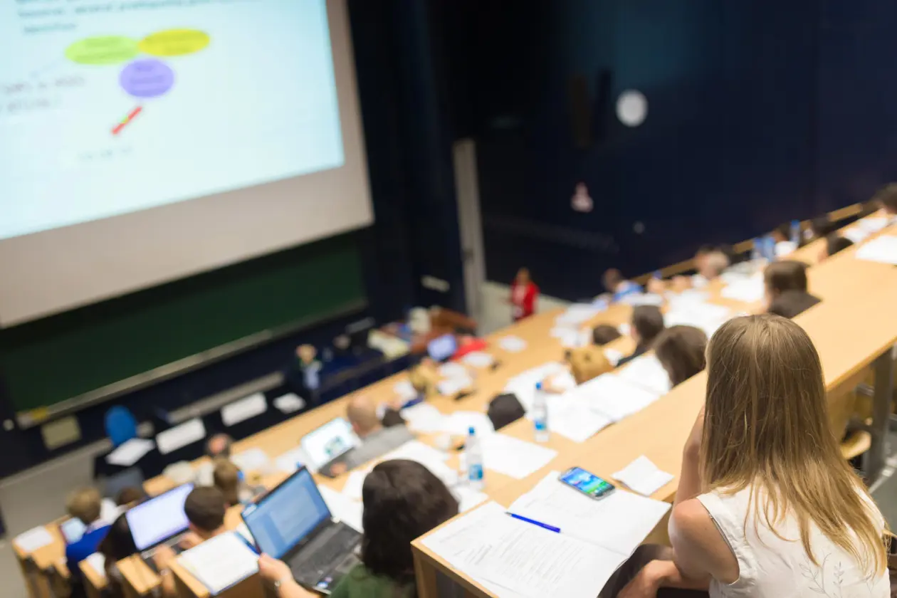 Enlighten Designs partnering with Waikato’s education community