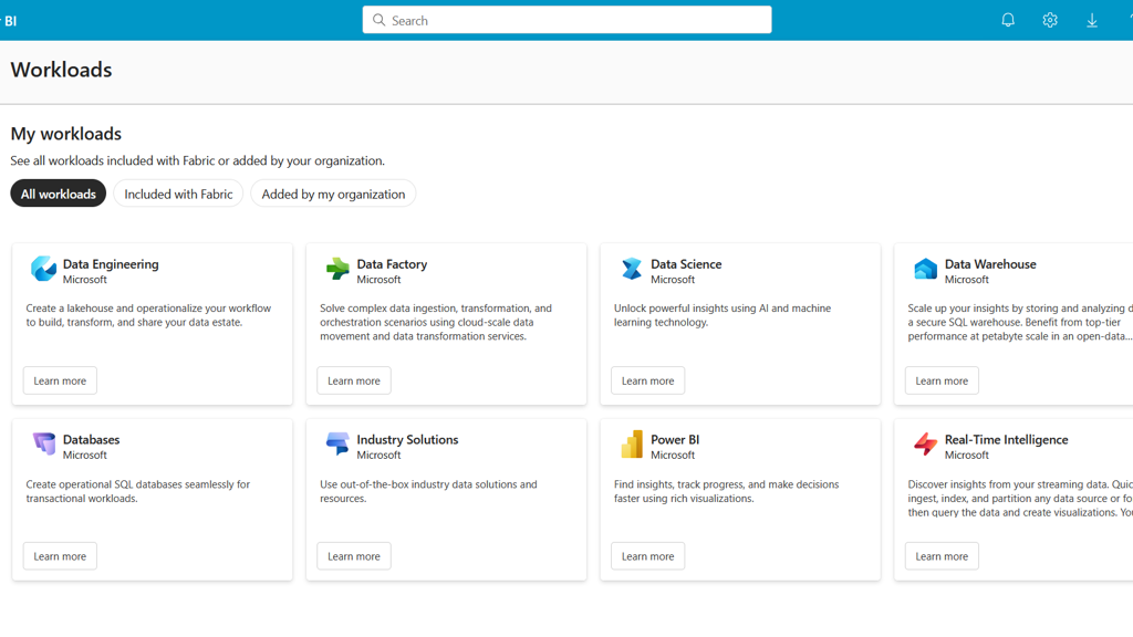 a screenshot of a Fabric Workload