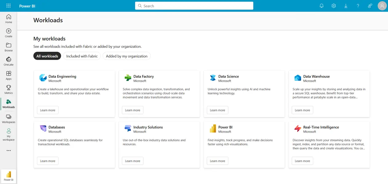 a screenshot of a Fabric Workload